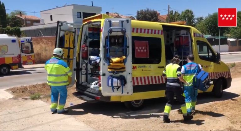 dos pintores intoxicados