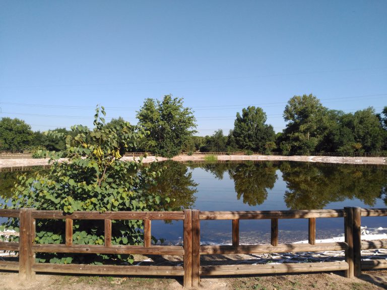 Parque Forestal Somosaguas