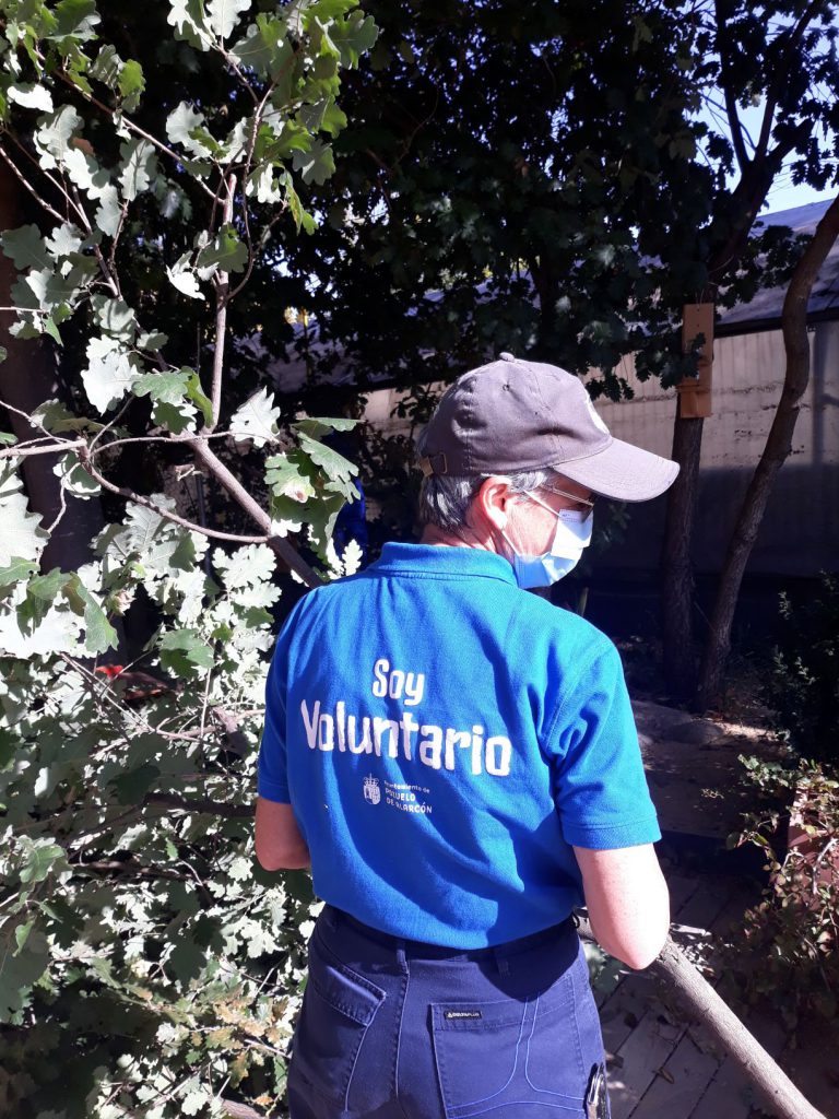 Voluntariado ambiental