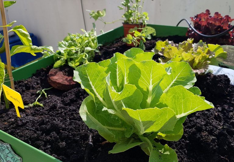 Actividades Semana Santa