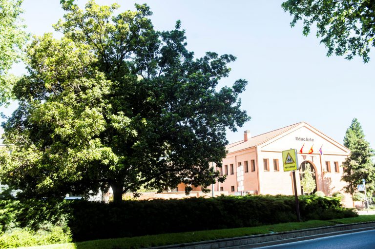 Curso de verano en la Escuela de Creatividad y Artes Escénicas