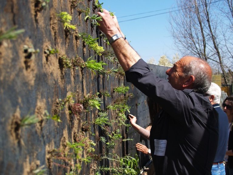 jardinería vertical