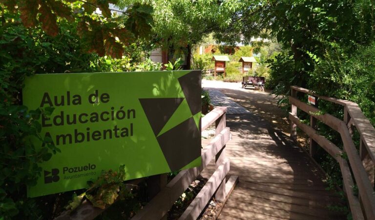 Programa otoño aula