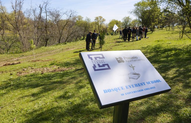 ‘Bosque de la vida’, la iniciativa que plantará un árbol por cada nacimiento