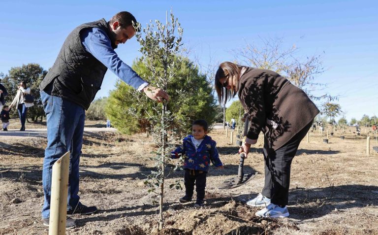 El ‘Bosque de la Vida’ proporciona 300 nuevos árboles a Pozuelo
