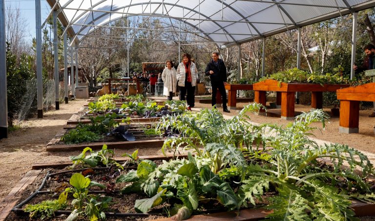 El Aula de Educación Ambiental inaugura sus invernaderos
