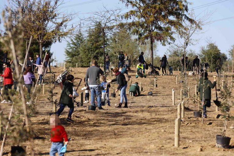 Aprobado el Plan Parcial de Somosaguas Norte