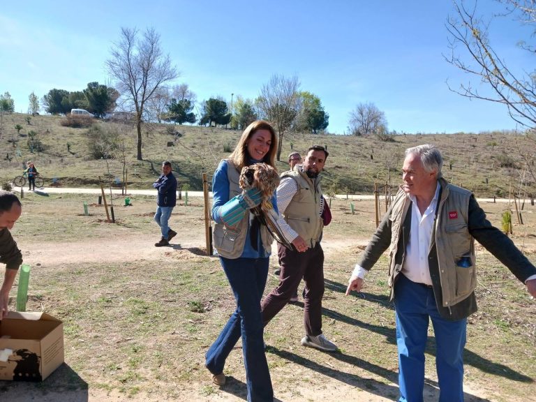 Acondicionados los arroyos Meaques y Valchico que conectan con el Arco Verde