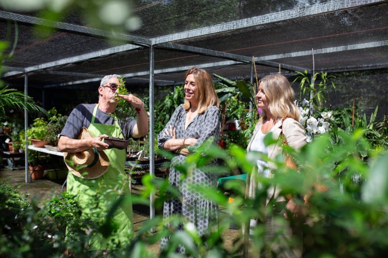 guardería de plantas