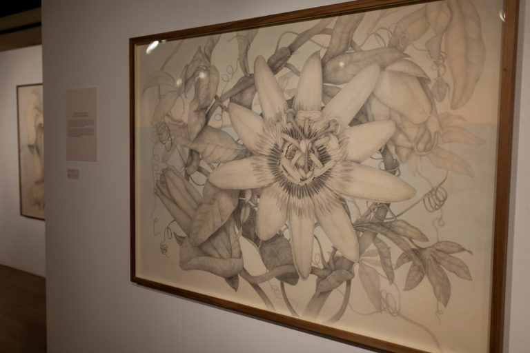 ‘La Naturaleza al detalle’, una exposición de Marta Chirino en el Espacio Mira ‘La Naturaleza al detalle’, una exposición de Marta Chirino en el Espacio Mira