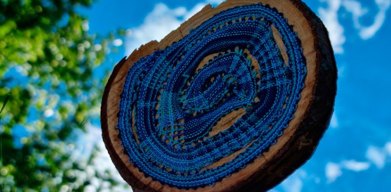 exposiciones pozuelo