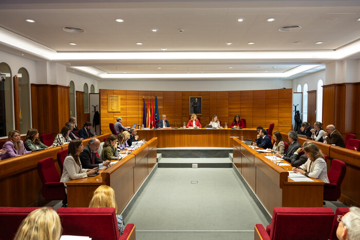 El pleno aprueba la ordenanza de licencias y declaraciones urbanísticas responsables