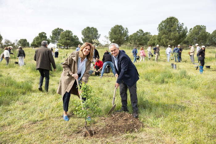 Programa de integración sociolaboral