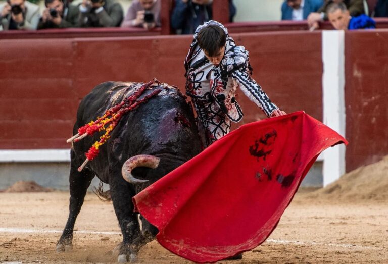 feria taurina de Pozuelo