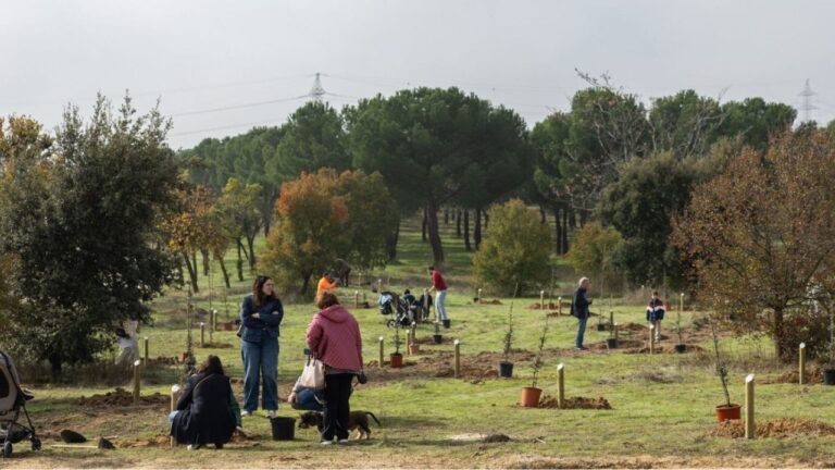 Parque Forestal Adolfo Suárez durante la iniciativa Apadrina un árbol