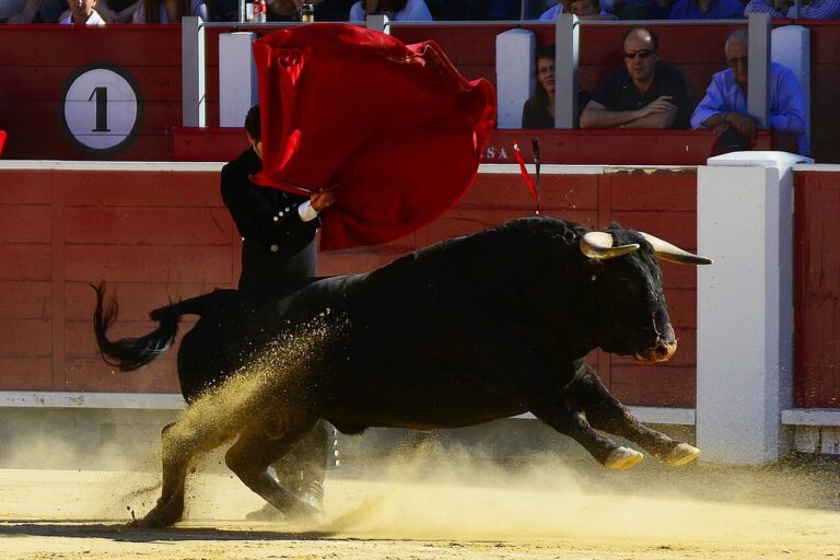 Manzanares