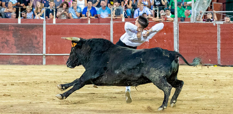 Fiestas Patronales 2026-actos taurinos