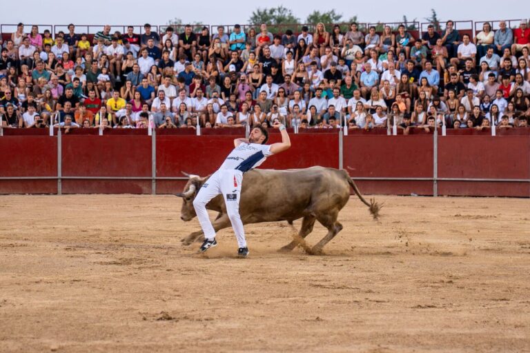 concurso de recortes